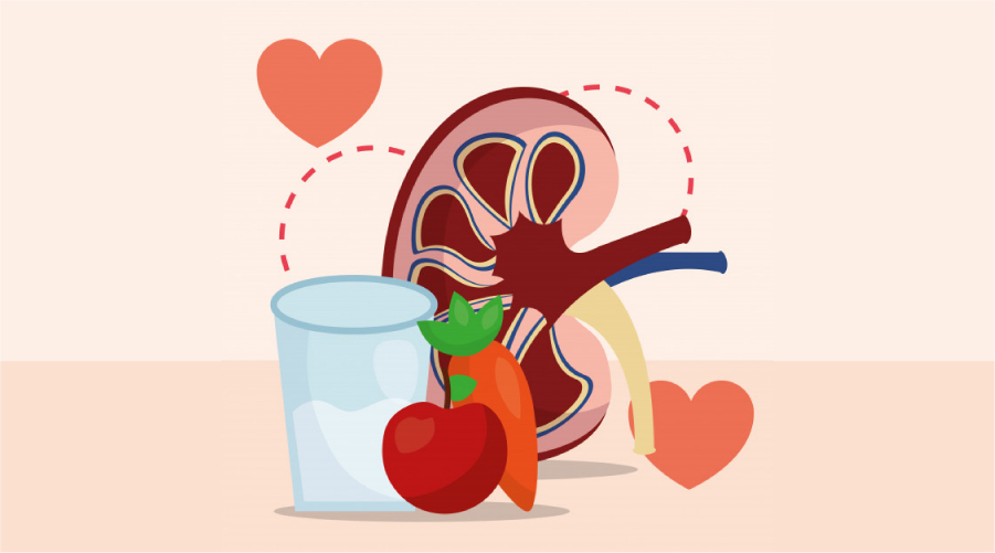 Maintaining Healthy Kidneys | Senior Fitness & Food Tips for Kidney Health